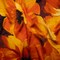 1 Yard Italian Dark Orange Golden Yellow and Russet Brown Painterly Flowers Silk Charmeuse Fabric 53 inch Width